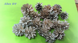 Tannenzapfen selber bleichen / weissen .